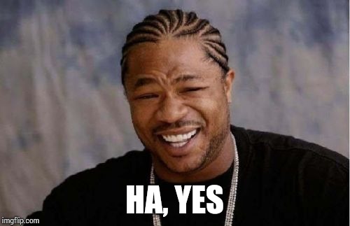 Yo Dawg Heard You Meme | HA, YES | image tagged in memes,yo dawg heard you | made w/ Imgflip meme maker