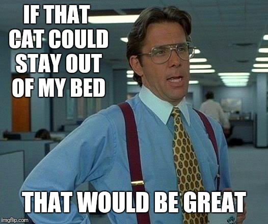 That Would Be Great Meme | IF THAT CAT COULD STAY OUT OF MY BED THAT WOULD BE GREAT | image tagged in memes,that would be great | made w/ Imgflip meme maker