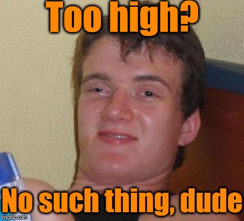 10 Guy Meme | Too high? No such thing, dude | image tagged in memes,10 guy | made w/ Imgflip meme maker
