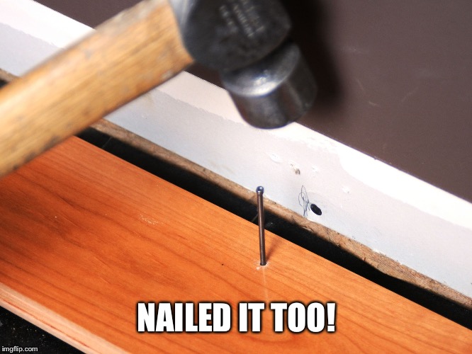 1. "Nailed It" Meme: The Origin and Evolution of a Viral Phrase - wide 9