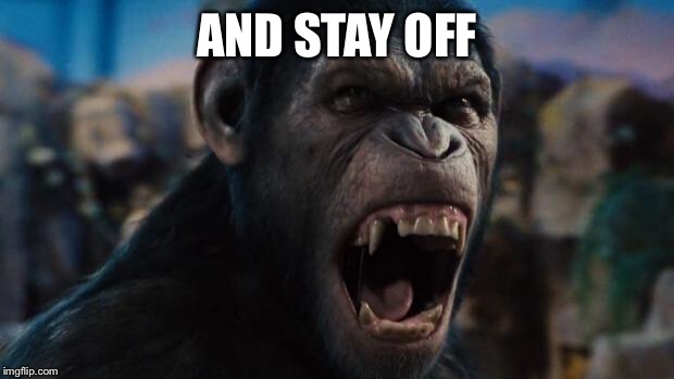 Caeser Rise of the Planet of the Apes | AND STAY OFF | image tagged in caeser rise of the planet of the apes | made w/ Imgflip meme maker