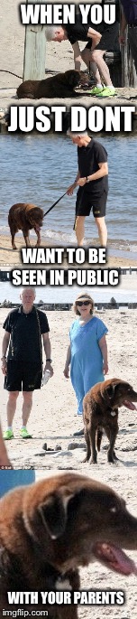 When it’s FAIL WEEK and Even the Dog Knows. | WHEN YOU; JUST DONT; WANT TO BE SEEN IN PUBLIC; WITH YOUR PARENTS | image tagged in fail week,clintons | made w/ Imgflip meme maker