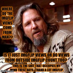 Where Do The Memes Go, Man? | WHERE DO THE IMGFLIP VIEWS COME FROM MAN?? IS IT JUST IMGFLIP VIEWS OR DO VIEWS FROM OUTSIDE IMGFLIP COUNT TOO? THIS IS THE SHIT THAT OCCUPIES MY MIND THESE DAYS.  THANX A LOT IMGFLIP. | image tagged in memes,confused lebowski,meme,funny memes,bad memes,views | made w/ Imgflip meme maker