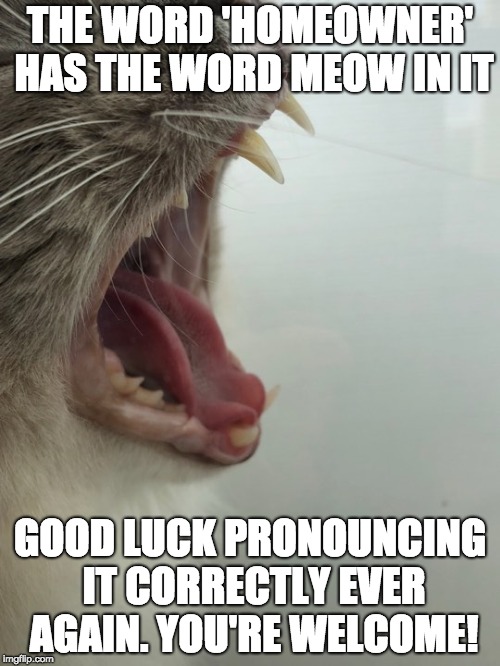 THE WORD 'HOMEOWNER' HAS THE WORD MEOW IN IT; GOOD LUCK PRONOUNCING IT CORRECTLY EVER AGAIN. YOU'RE WELCOME! | made w/ Imgflip meme maker