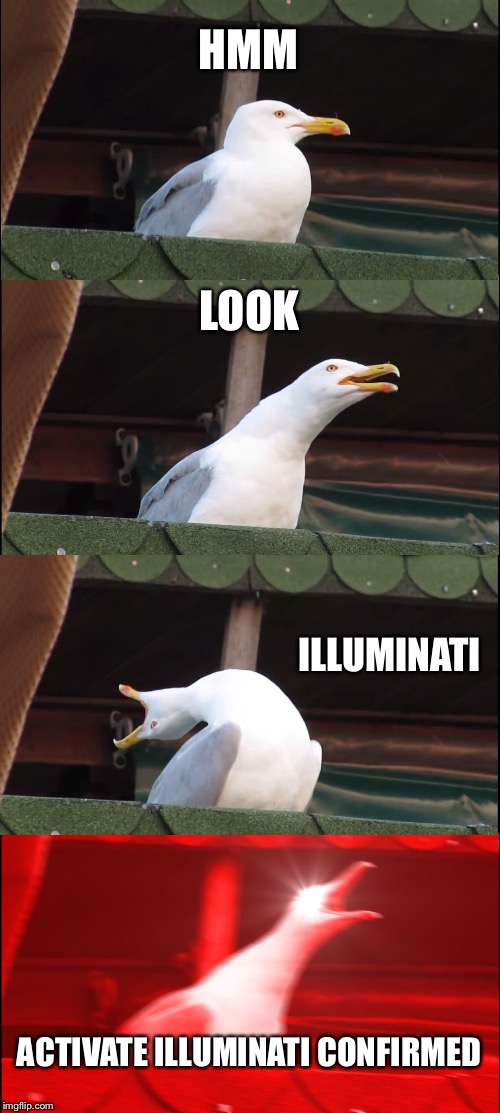 Inhaling Seagull | HMM; LOOK; ILLUMINATI; ACTIVATE ILLUMINATI CONFIRMED | image tagged in memes,inhaling seagull | made w/ Imgflip meme maker