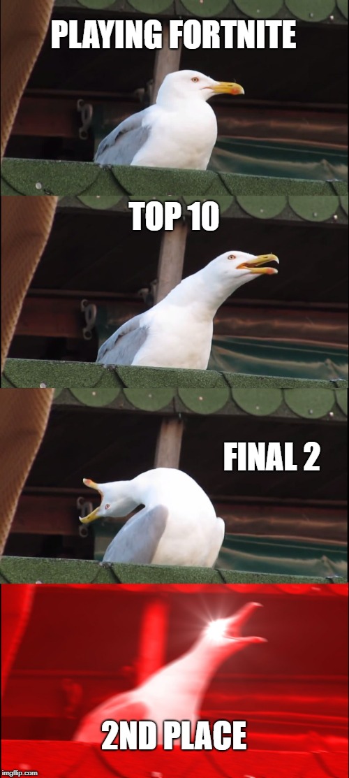 Inhaling Seagull | PLAYING FORTNITE; TOP 10; FINAL 2; 2ND PLACE | image tagged in memes,inhaling seagull | made w/ Imgflip meme maker