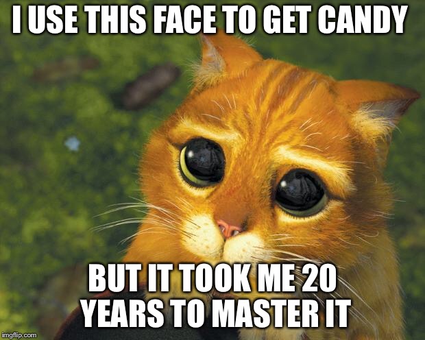 Pretty Please Cat | I USE THIS FACE TO GET CANDY; BUT IT TOOK ME 20 YEARS TO MASTER IT | image tagged in pretty please cat | made w/ Imgflip meme maker