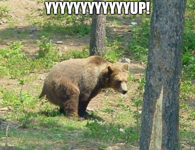 YYYYYYYYYYYYUP! | image tagged in does a bear | made w/ Imgflip meme maker