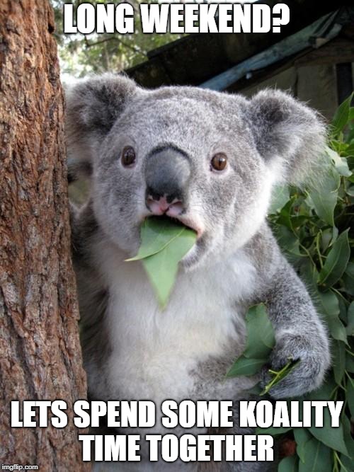 Surprised Koala Meme |  LONG WEEKEND? LETS SPEND SOME KOALITY TIME TOGETHER | image tagged in memes,surprised koala | made w/ Imgflip meme maker