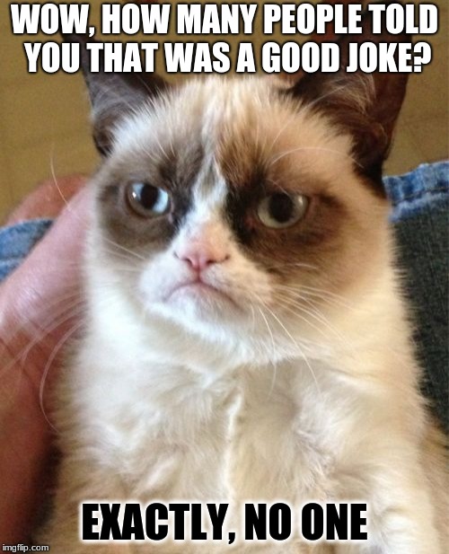 make the world a better place | WOW, HOW MANY PEOPLE TOLD YOU THAT WAS A GOOD JOKE? EXACTLY, NO ONE | image tagged in memes,grumpy cat | made w/ Imgflip meme maker