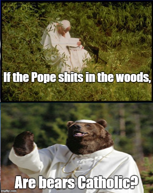God just might be an animal! | If the Pope shits in the woods, Are bears Catholic? | image tagged in religion,catholicism,funny memes,blasphemy | made w/ Imgflip meme maker