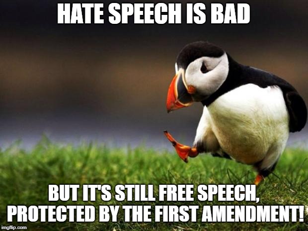 Censorship needs to end now! | HATE SPEECH IS BAD; BUT IT'S STILL FREE SPEECH, PROTECTED BY THE FIRST AMENDMENT! | image tagged in memes,unpopular opinion puffin,free speech,hate speech,censorship,politics | made w/ Imgflip meme maker