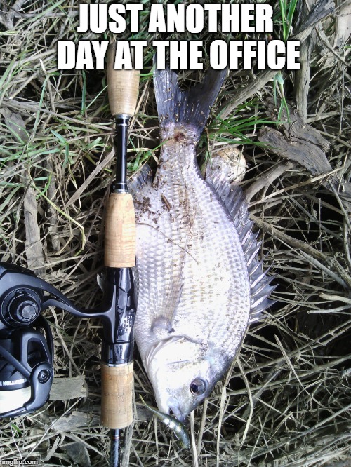 Retirement - someone's gotta do it | JUST ANOTHER DAY AT THE OFFICE | image tagged in gone fishing,retirement,office | made w/ Imgflip meme maker