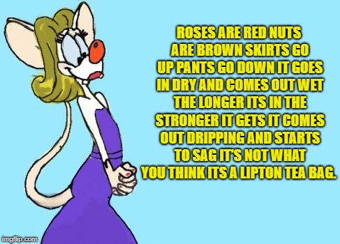 poem | ROSES ARE RED NUTS ARE BROWN SKIRTS GO UP PANTS GO DOWN IT GOES IN DRY AND COMES OUT WET THE LONGER ITS IN THE STRONGER IT GETS IT COMES OUT DRIPPING AND STARTS TO SAG IT'S NOT WHAT YOU THINK ITS A LIPTON TEA BAG. | image tagged in pinky,poem | made w/ Imgflip meme maker