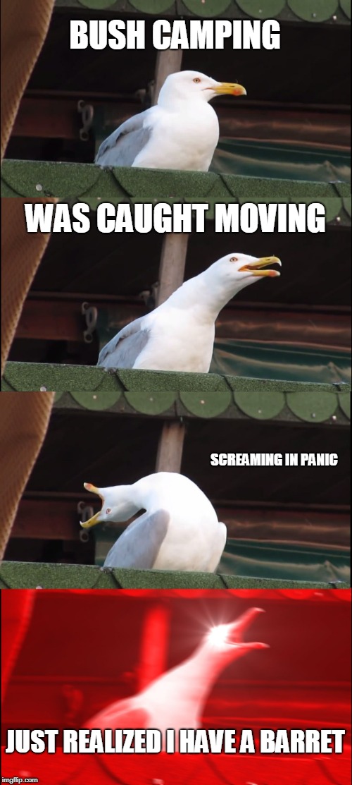 Fortnite bush campers be like... | BUSH CAMPING; WAS CAUGHT MOVING; SCREAMING IN PANIC; JUST REALIZED I HAVE A BARRET | image tagged in memes,inhaling seagull,fortnite | made w/ Imgflip meme maker
