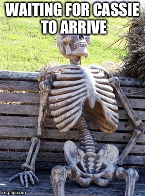 Waiting Skeleton | WAITING FOR CASSIE TO ARRIVE | image tagged in memes,waiting skeleton | made w/ Imgflip meme maker