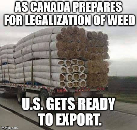 Weed?  | AS CANADA PREPARES FOR LEGALIZATION OF WEED; U.S. GETS READY TO EXPORT. | image tagged in canada,weed,legalize weed | made w/ Imgflip meme maker