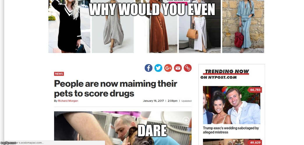 Wrong | WHY WOULD YOU EVEN; DARE | image tagged in why,fail week,landon_the_memer | made w/ Imgflip meme maker