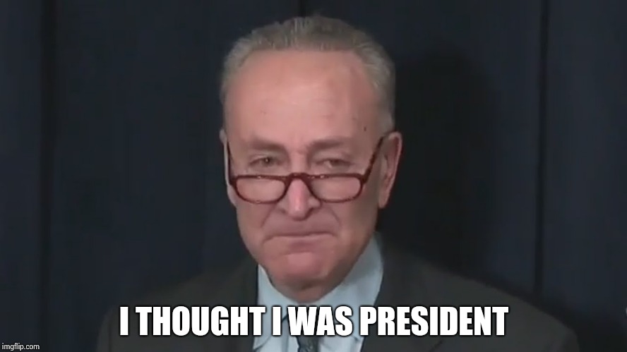 Chuck Schumer Crying | I THOUGHT I WAS PRESIDENT | image tagged in chuck schumer crying | made w/ Imgflip meme maker