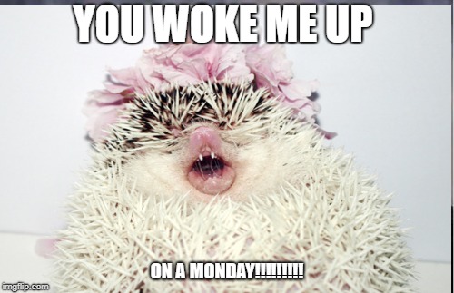 YOU WOKE ME UP; ON A MONDAY!!!!!!!!! | made w/ Imgflip meme maker