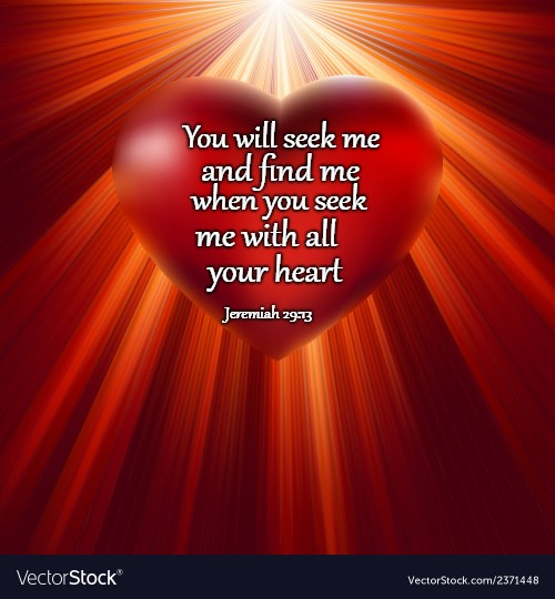 Jeremiah 29:13 You Will Seek Me and Find Me | You will seek me; and find me; when you seek; me with all; your heart; Jeremiah 29:13 | image tagged in bible,holy bible,holy spirit,bible verse,verse,god | made w/ Imgflip meme maker