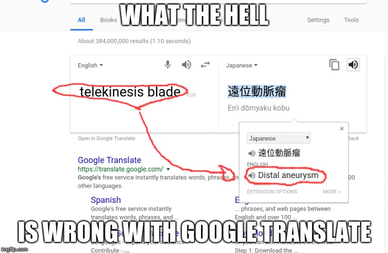 what the hell!?!? | WHAT THE HELL; IS WRONG WITH GOOGLE TRANSLATE | image tagged in memes,google translate sings,google,japanese,what the hell,blade | made w/ Imgflip meme maker