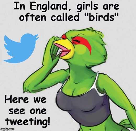 A Very Tweet Chick | In England, girls are often called "birds"; Here we see one tweeting! | image tagged in vince vance,birds of a feather,bird woman,twitter,birds with breasts,green bird | made w/ Imgflip meme maker