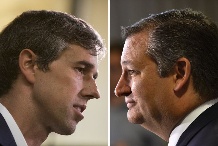 Beto Ted Blank Meme Template