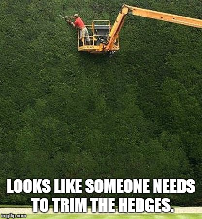 trimming the bushes | LOOKS LIKE SOMEONE NEEDS TO TRIM THE HEDGES. | image tagged in trimming the bushes | made w/ Imgflip meme maker