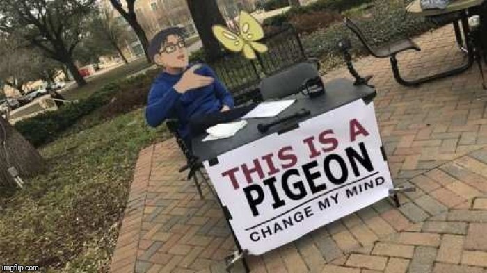 hmm | THIS IS A; PIGEON | image tagged in is this a pigeon,change my mind,ilikepie314159265358979 | made w/ Imgflip meme maker