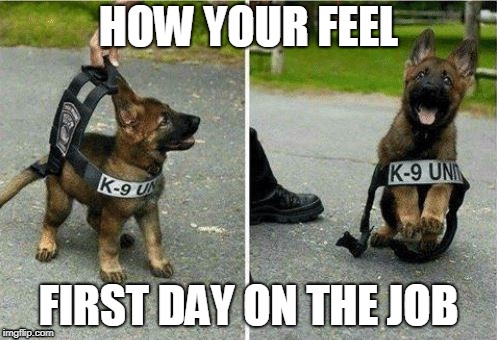 First day on the job | HOW YOUR FEEL; FIRST DAY ON THE JOB | image tagged in funny,new job | made w/ Imgflip meme maker