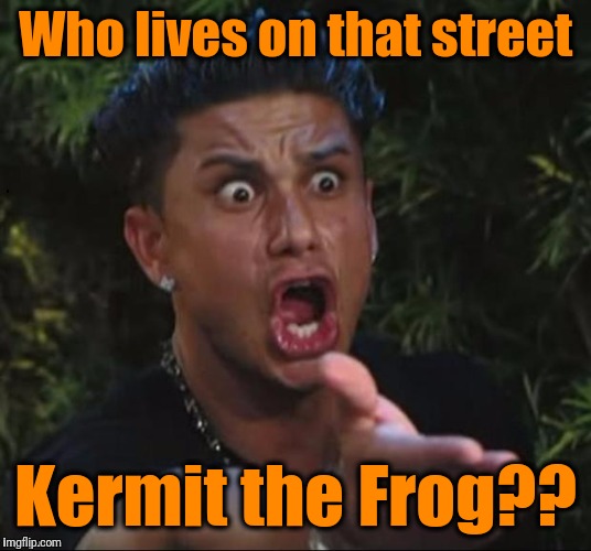 for crying out loud | Who lives on that street Kermit the Frog?? | image tagged in for crying out loud | made w/ Imgflip meme maker