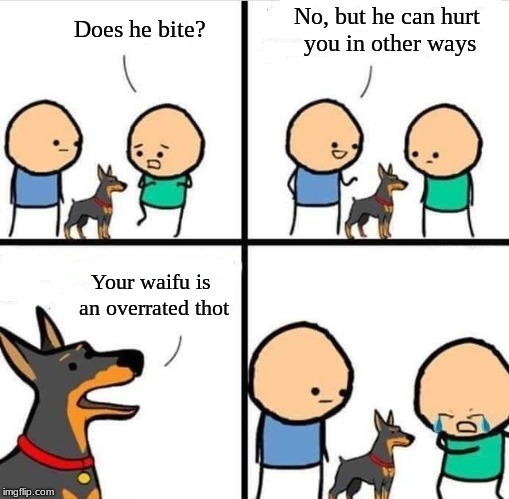 I'd be like: Your point? lol | No, but he can hurt you in other ways; Does he bite? Your waifu is an overrated thot | image tagged in cyanide happiness dog does it bite | made w/ Imgflip meme maker