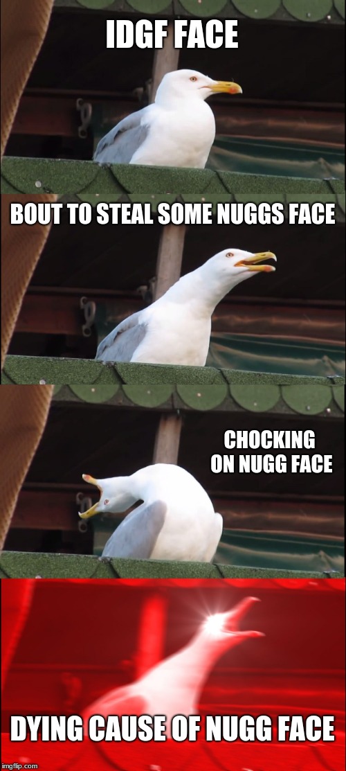 Inhaling Seagull | IDGF FACE; BOUT TO STEAL SOME NUGGS FACE; CHOCKING ON NUGG FACE; DYING CAUSE OF NUGG FACE | image tagged in memes,inhaling seagull | made w/ Imgflip meme maker