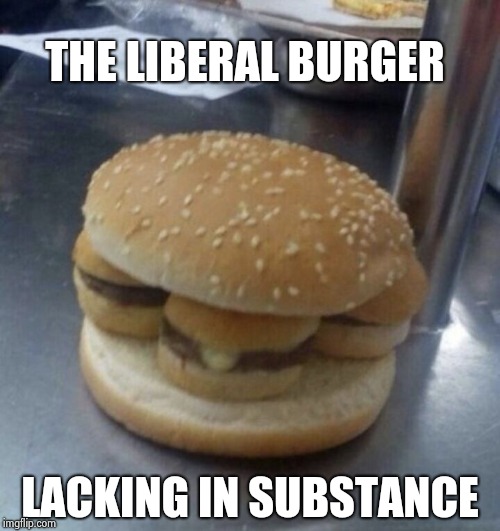 Nothing burger | THE LIBERAL BURGER LACKING IN SUBSTANCE | image tagged in nothing burger | made w/ Imgflip meme maker