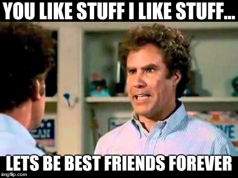 Did We Just Become Best Friends Mustang | YOU LIKE STUFF I LIKE STUFF... LETS BE BEST FRIENDS FOREVER | image tagged in did we just become best friends mustang | made w/ Imgflip meme maker