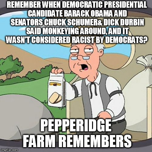 Pepperidge Farm Remembers Meme | REMEMBER WHEN DEMOCRATIC PRESIDENTIAL CANDIDATE BARACK OBAMA AND SENATORS CHUCK SCHUMER& DICK DURBIN SAID MONKEYING AROUND, AND IT WASN'T CO | image tagged in memes,pepperidge farm remembers | made w/ Imgflip meme maker
