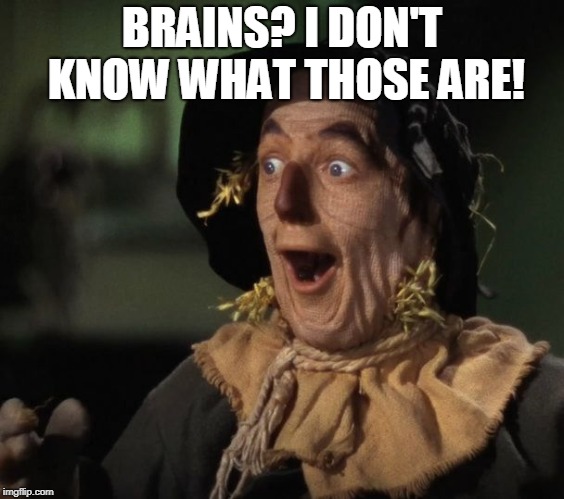 Straw Man - What a Great Idea | BRAINS? I DON'T KNOW WHAT THOSE ARE! | image tagged in straw man - what a great idea | made w/ Imgflip meme maker