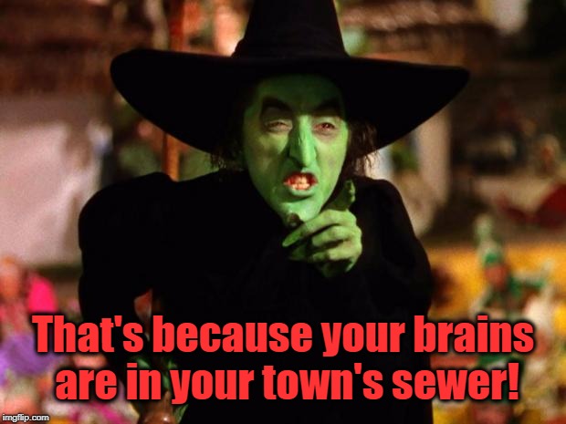 wicked witch  | That's because your brains are in your town's sewer! | image tagged in wicked witch | made w/ Imgflip meme maker