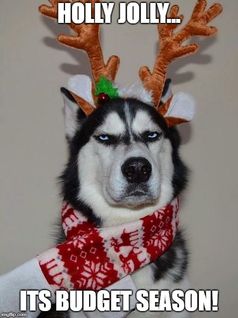 Husky Happy Holidays | HOLLY JOLLY... ITS BUDGET SEASON! | image tagged in husky happy holidays | made w/ Imgflip meme maker