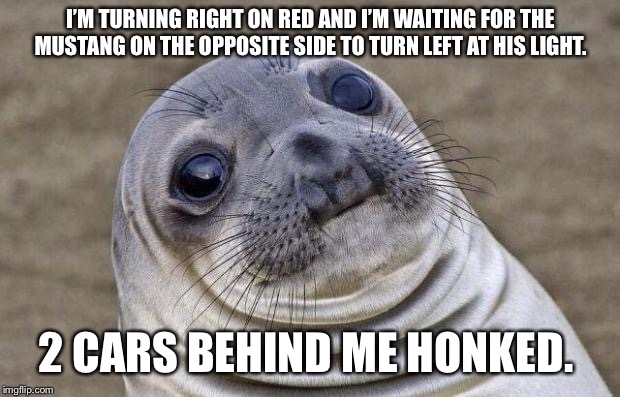 Awkward Moment Sealion | I’M TURNING RIGHT ON RED AND I’M WAITING FOR THE MUSTANG ON THE OPPOSITE SIDE TO TURN LEFT AT HIS LIGHT. 2 CARS BEHIND ME HONKED. | image tagged in memes,awkward moment sealion,AdviceAnimals | made w/ Imgflip meme maker