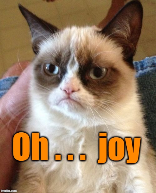 Grumpy Cat Meme | Oh . . .  joy | image tagged in memes,grumpy cat | made w/ Imgflip meme maker