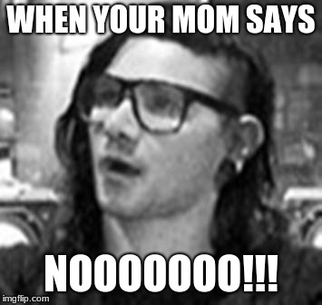 WTF Skrillex | WHEN YOUR MOM SAYS; NOOOOOOO!!! | image tagged in wtf skrillex | made w/ Imgflip meme maker