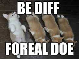 Funny animals  | BE DIFF; FOREAL DOE | image tagged in funny animals | made w/ Imgflip meme maker