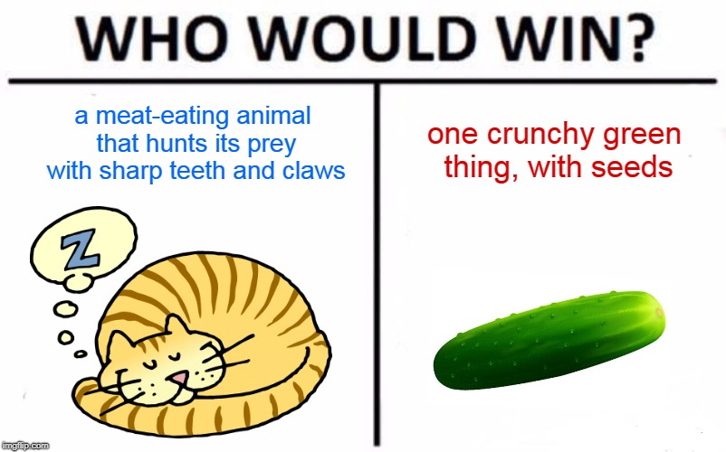 Cat vs Cucumber | a meat-eating animal that hunts its prey with sharp teeth and claws; one crunchy green thing, with seeds | image tagged in memes,who would win,cat,cats,caturday,cucumber | made w/ Imgflip meme maker