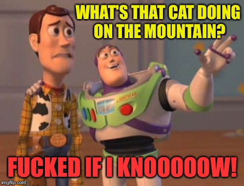 X, X Everywhere Meme | WHAT'S THAT CAT DOING ON THE MOUNTAIN? F**KED IF I KNOOOOOW! | image tagged in memes,x x everywhere | made w/ Imgflip meme maker