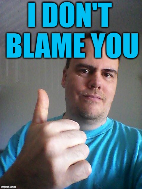 Thumbs up | I DON'T BLAME YOU | image tagged in thumbs up | made w/ Imgflip meme maker