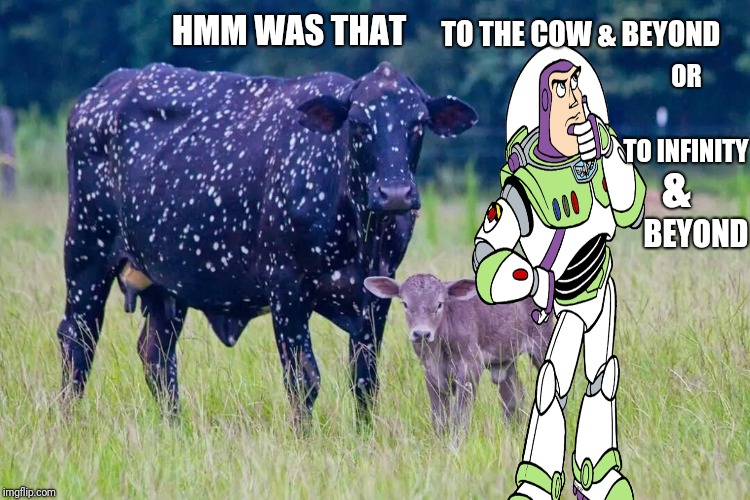 Buzz | TO THE COW & BEYOND; HMM WAS THAT; OR; TO INFINITY; &; BEYOND | image tagged in buzz lightyear,animals,funny,memes | made w/ Imgflip meme maker