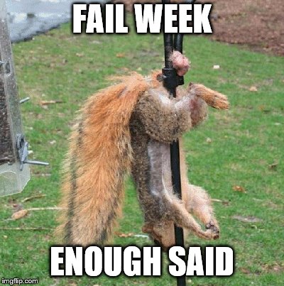 Via Landon_the_memer. 8-27 to 9-3 | FAIL WEEK; ENOUGH SAID | image tagged in memes,fail week,squirrels | made w/ Imgflip meme maker