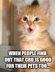 Funny animals | WHEN PEOPLE FIND OUT THAT CBD IS GOOD FOR THEIR PETS TOO... | image tagged in funny animals | made w/ Imgflip meme maker